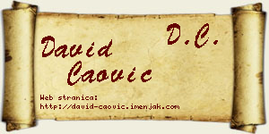 David Čaović vizit kartica